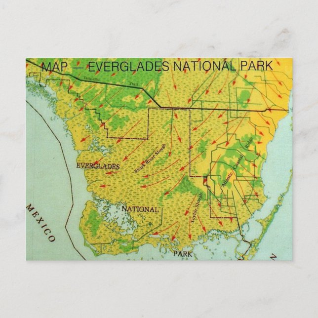 Cartão Postal Mapa do Parque Nacional Everglades em Postcard (Frente)