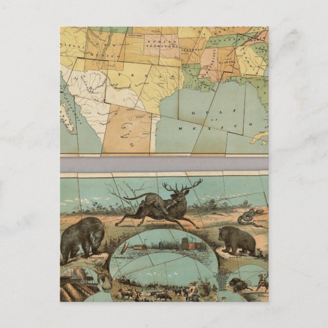 Cartão Postal Mapa dos Estados Unidos da América 2 (Frente)