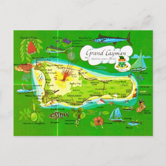 Cartão Postal Mapa Ilustrado de Grand Cayman (Frente)