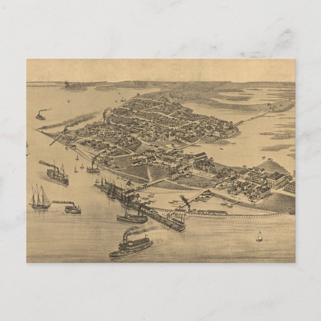 Cartão Postal Mapa Pictórico Antigo de Cedar Key FL (1884) (Frente)