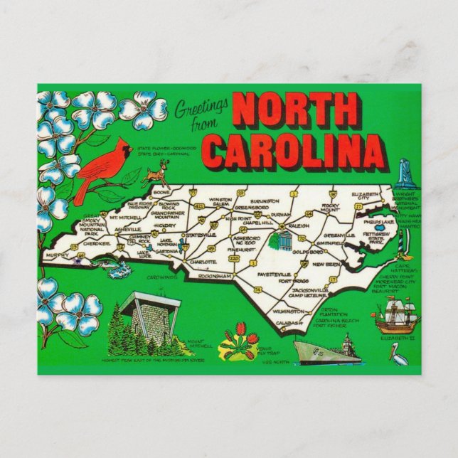 Cartão Postal Mapa Verde da Carolina do Norte (Frente)