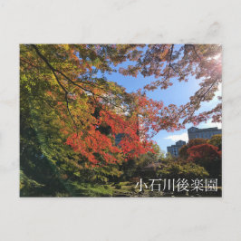 Cartão Postal Mapeamentos Vermelhos no Jardim Japonês