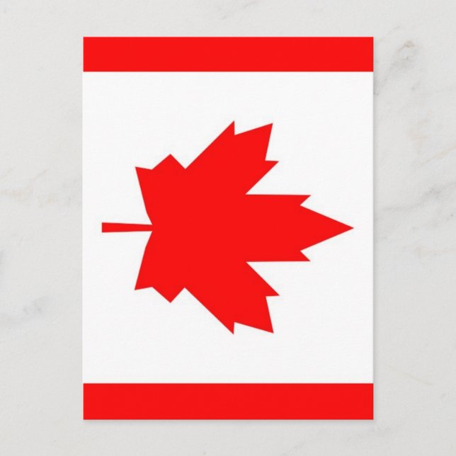 Cartão Postal Maple canadense (Frente)