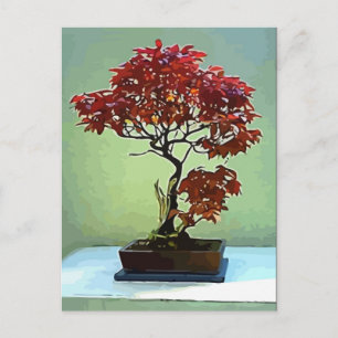 Cartão Postal Maple Japonês