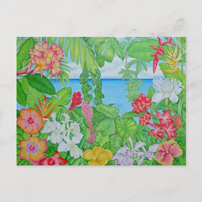 Cartão Postal Mar através da Selva (Frente)