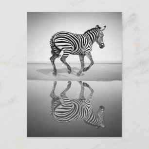 Cartão Postal Mar de Liberdade