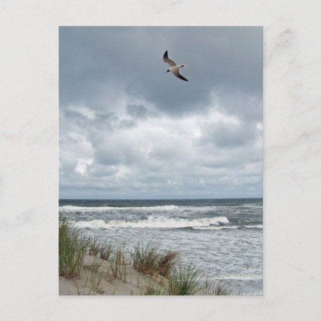 Cartão Postal Mar Esgotante (Frente)