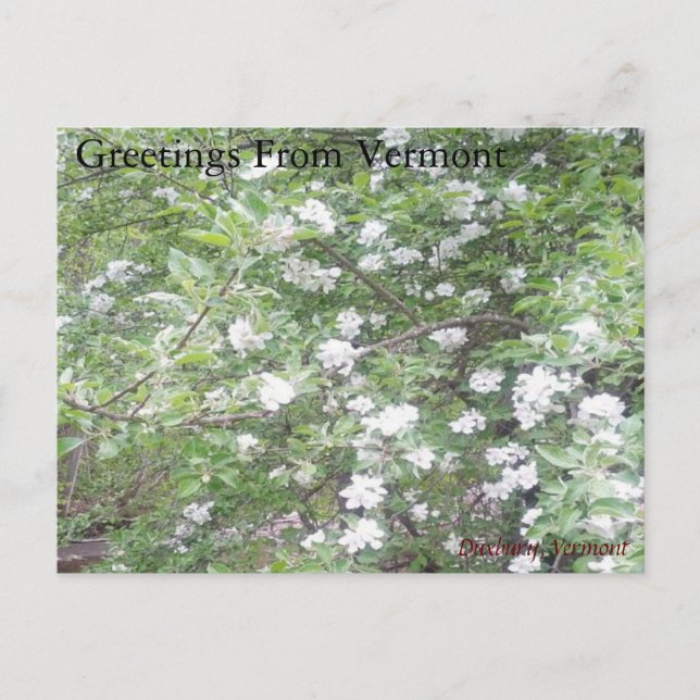 Cartão Postal Maravilhas da estrada (Frente)