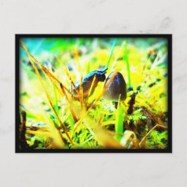 Cartão Postal Maravilhoso em conhecê-lo, Slug e Mushroom Foto