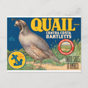 Cartão Postal Marca Contra Costa Bartletts