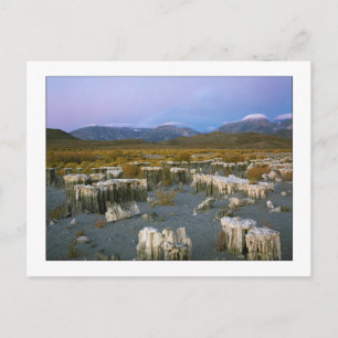 Cartão Postal "Marca d'água antiga"