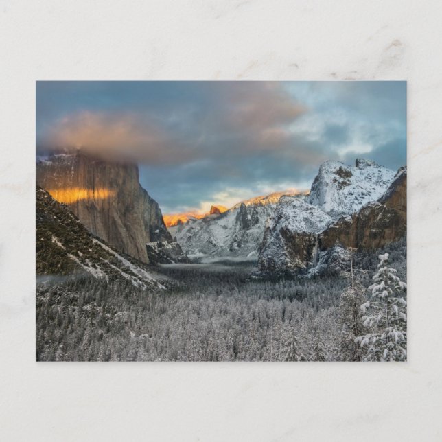 Cartão Postal Marca de inverno (Frente)