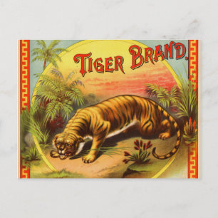 Cartão Postal Marca Tigre 1900
