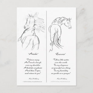 Cartão Postal Marcador "Aside" & "Curves" Horse