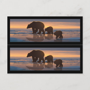 Cartão Postal Marcadores de Livro da Família Polar Bear