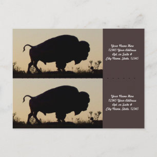 Cartão Postal Marcadores de Silhouette Buffalo