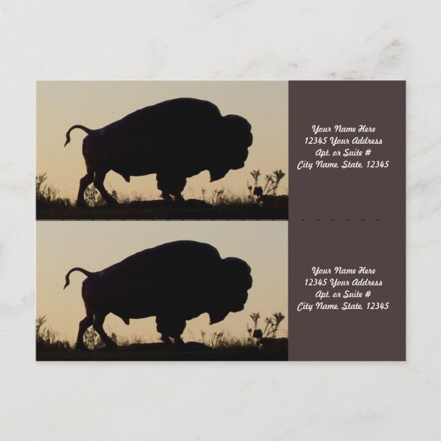 Cartão Postal Marcadores de Silhouette Buffalo (Frente)