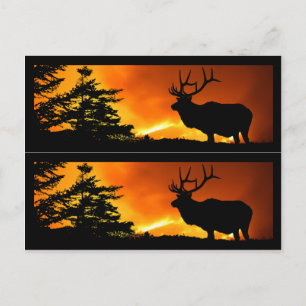 Cartão Postal Marcadores do Livro de Incêndios da Elk e da Flor
