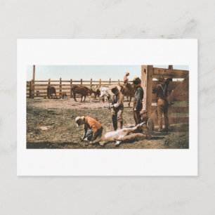 Cartão Postal Marcas do Colorado em 1904