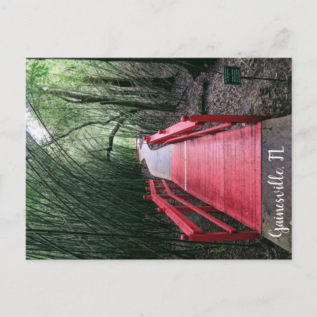 Cartão Postal Marcha à tarde (Frente)