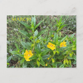 CARTÃO POSTAL MARÇO