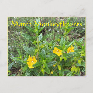 Cartão Postal Março Montecflores