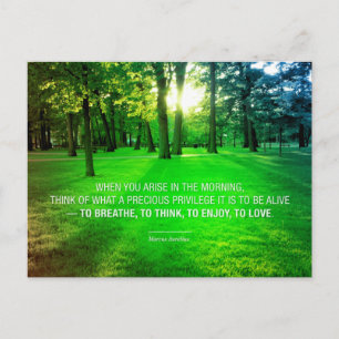 Cartão Postal Marcus Aurelius Life Stoic Privilegic cita Life