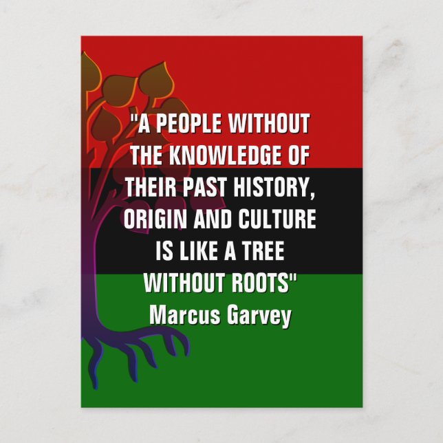 Cartão Postal Marcus Garvey TREE SEM ROOTS Cartão-postal (Frente)
