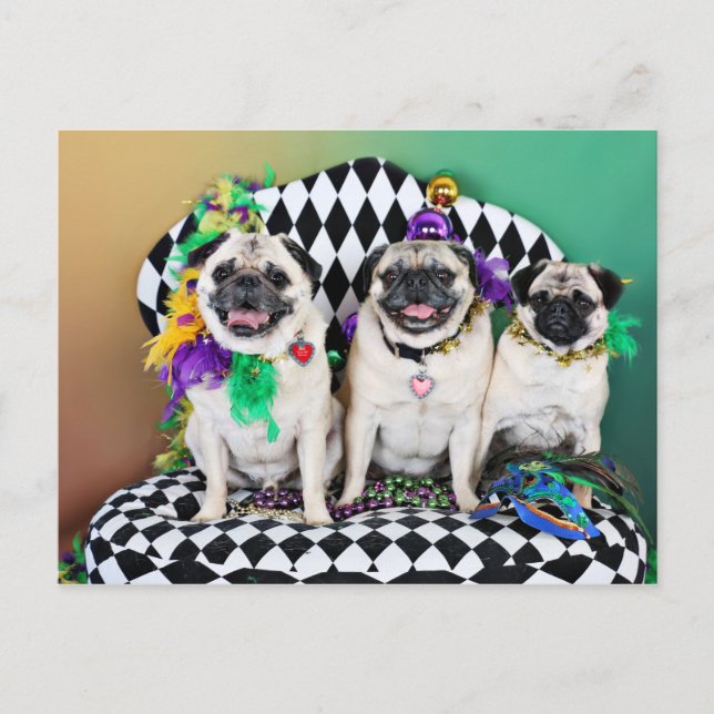 Cartão Postal Mardi Gras 2015 - Hambone Coco Olivia - (Frente)