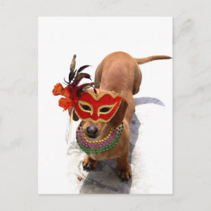 Cartão Postal Mardi Gras Dachsund cão