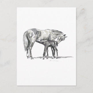 Cartão Postal Mare e Foal