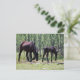 Cartão Postal Mare e foal perfeitamente sincronizados (Em pé/Frente)