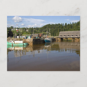 Cartão Postal Maré média na Baía de Fundy em St. Martins, New