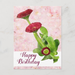 Cartão Postal Margarida