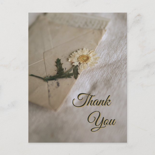 Cartão Postal Margarida Amarela e Branca Carta Vintage (Frente)