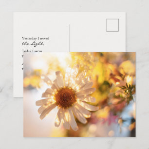 Cartão Postal Margarida dourada com mensagem espiritual universa
