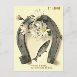 Cartão Postal Margarida Ferradura de Peixe