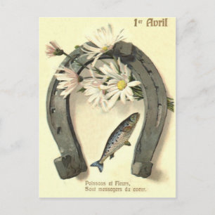 Cartão Postal Margarida Ferradura de Peixe