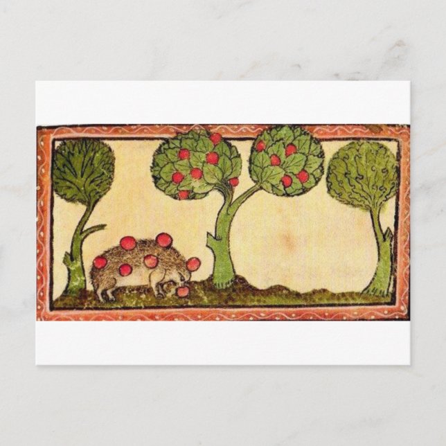 Cartão Postal Marginalia Hedgehog (Frente)