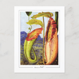 Cartão Postal Marianne North #1 - Cartão-postal de arte