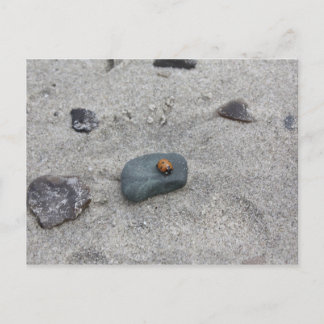 Cartão Postal Marienkäfer Strand