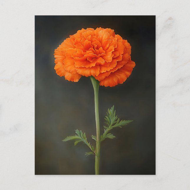 Cartão Postal Marigold Botanical Painting (Frente)