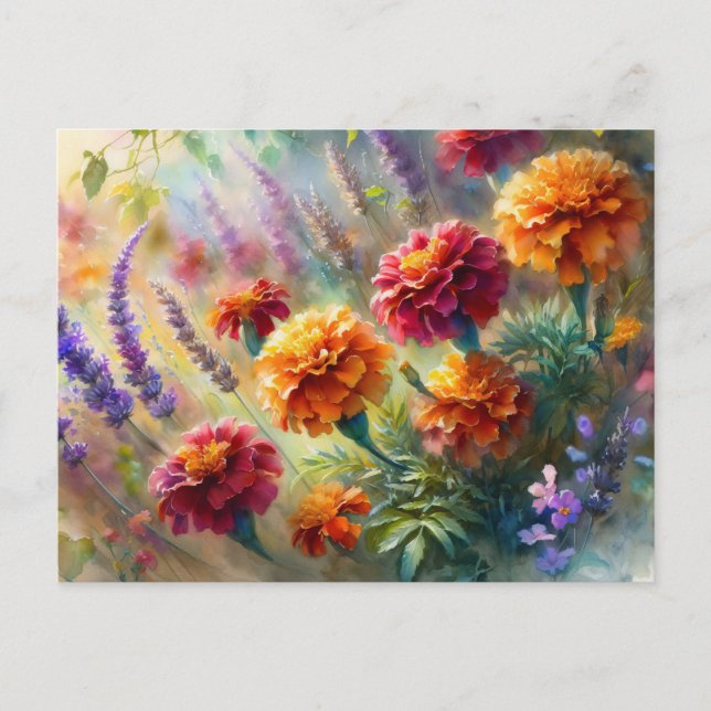 Cartão Postal Marigolds e Jardim de Lavanda (Frente)
