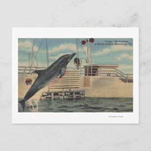 Cartão Postal Marineland, Flórida - Vista do Pudgy