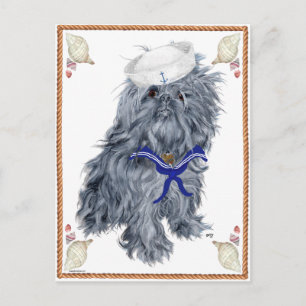 Cartão Postal Marinheiro Griffon de Bruxelas