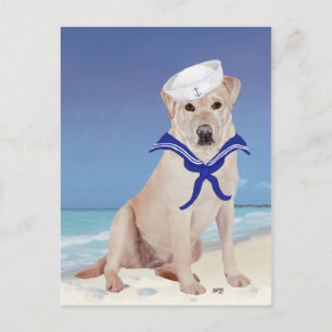 Cartão Postal Marinheiro Labrador Amarelo