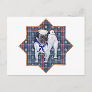 Cartão Postal Marinheiro Pug