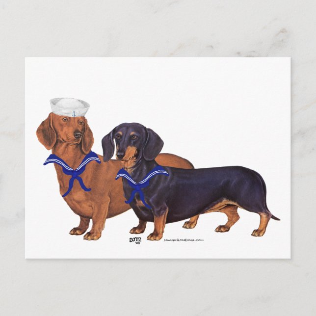 Cartão Postal Marinheiros Dachshund (Frente)
