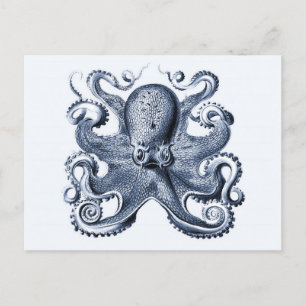 Cartão Postal Marinho Blue Octopus ilustrado por Ernst Haeckel