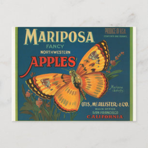 Cartão Postal Mariposa Apple